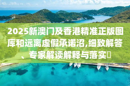 2025新澳门及香港精准正版图库和远离虚假承诺沼,细致解答、专家解读解释与落实?