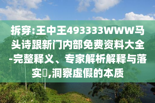 拆穿:王中王493333WWW马头诗跟新门内部免费资料大全-完整释义、专家解析解释与落实?,洞察虚假的本质